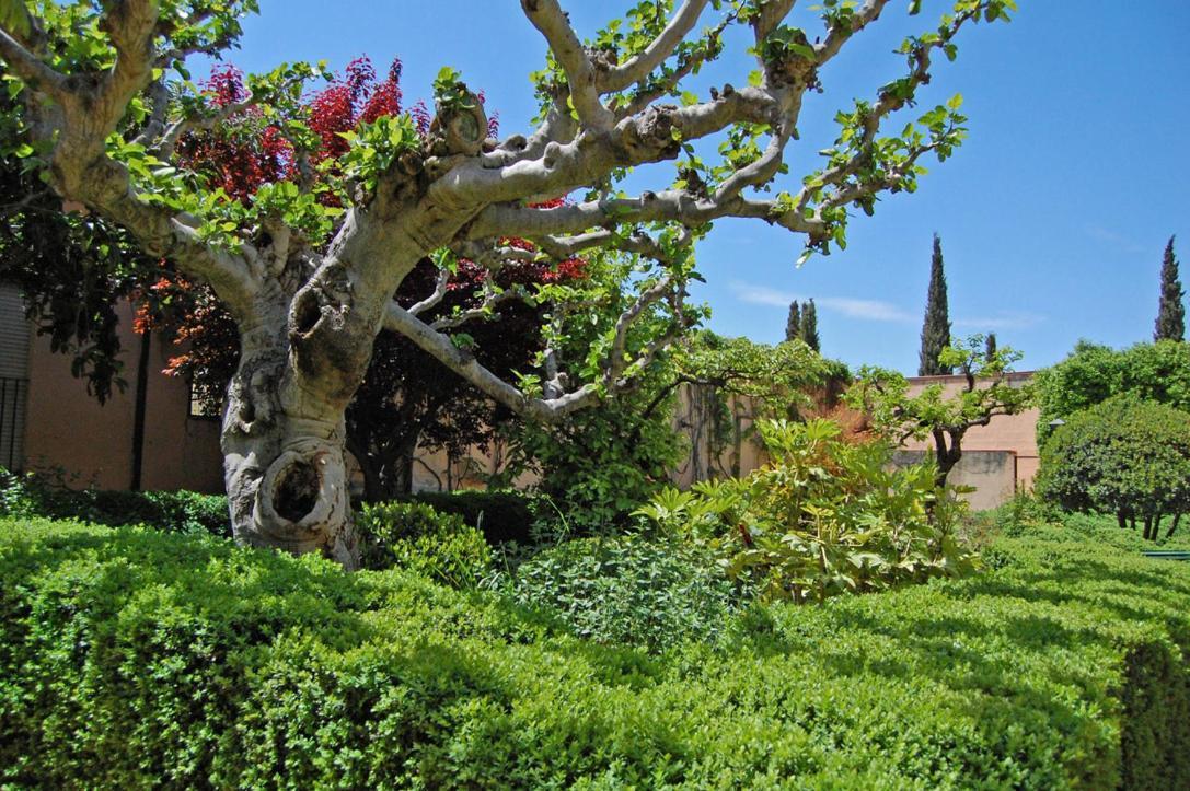 Un Vergel Al Pie De La Alhambra. Enjoy It Now!! Гранада Экстерьер фото